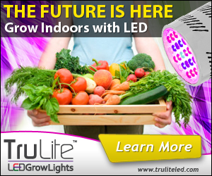 Banner Ad Design by neboica for ViSiON Global | Design: #2242648