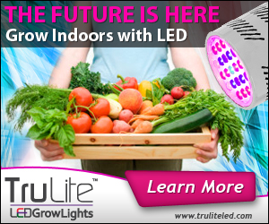 Banner Ad Design by neboica for ViSiON Global | Design: #2242659