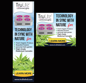 Banner Ad Design by Priyo Subarkah for ViSiON Global | Design: #2230234