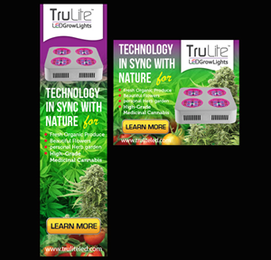 Banner Ad Design by Priyo Subarkah for ViSiON Global | Design: #2234133