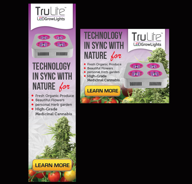 Banner Ad Design by Priyo Subarkah for ViSiON Global | Design #2237202