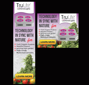 Banner Ad Design by Priyo Subarkah for ViSiON Global | Design: #2237202