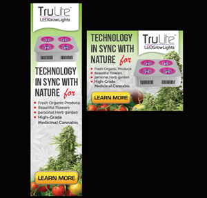 Banner Ad Design by Priyo Subarkah for ViSiON Global | Design: #2237277