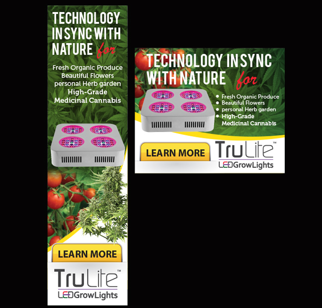 Banner Ad Design by Priyo Subarkah for ViSiON Global | Design #2237283