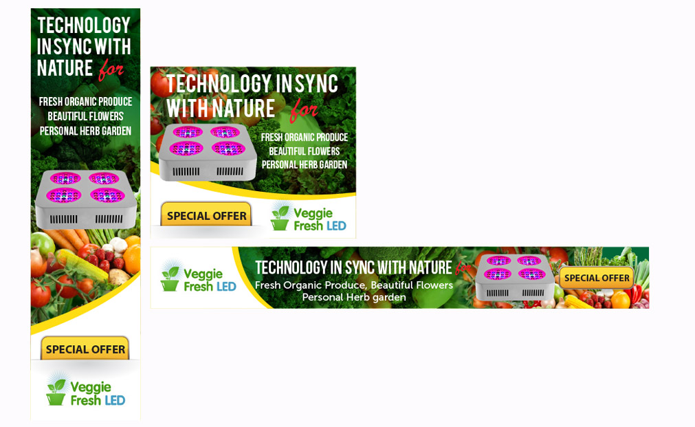 Diseño De Banner Publicitario por Priyo Subarkah para ViSiON Global | Diseño: #2356892