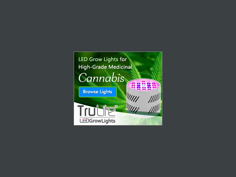 Banner Ad Design by yadunath for ViSiON Global | Design #2244491