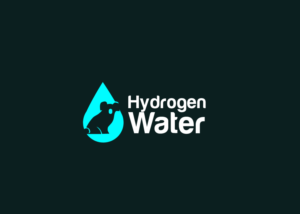 Logo Design by artofni16