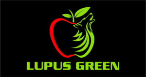 Logo Design by hih7