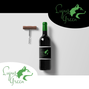 Logo Design by Shupica Designs
