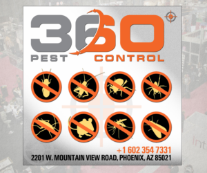 Advertisement Design by Magico Design