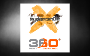 Advertisement Design by SeXtreme for this project | Design #10633557