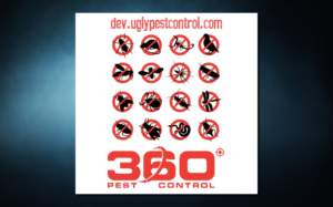 Advertisement Design by SeXtreme for this project | Design: #10636444