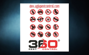 Design Publicitaire par SeXtreme pour ce projet | Design : #10636449
