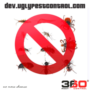 Design Publicitaire par SeXtreme pour ce projet | Design : #10636810