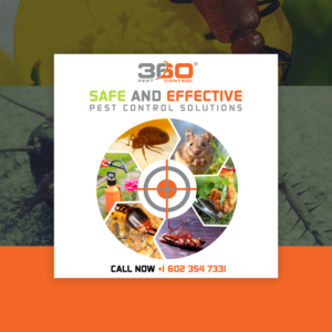 Advertisement Design by piyush for this project | Design: #10648303