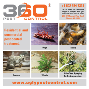 Advertisement Design by Astro Design