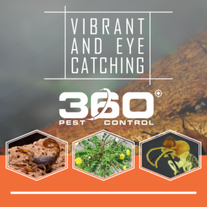 Advertisement Design by aner45 for this project | Design #10647039