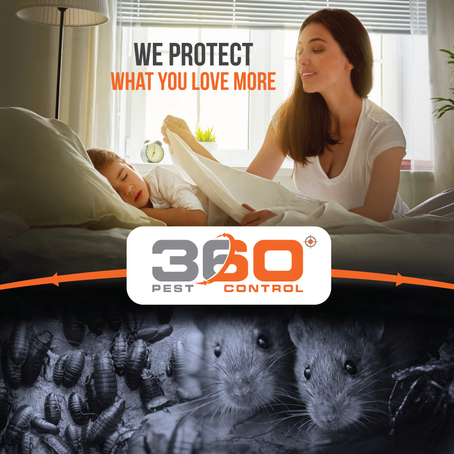 Advertisement Design by JCR for this project | Design #10634319