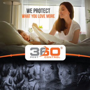 Design Publicitaire par JCR pour ce projet | Design : #10634319