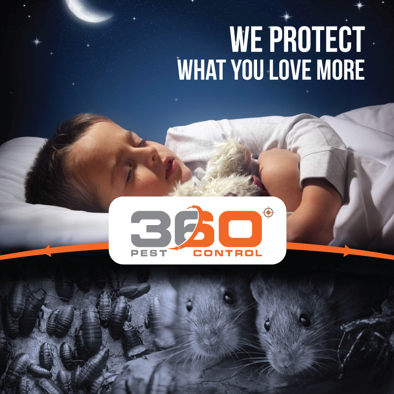 Advertisement Design by JCR for this project | Design #10634320