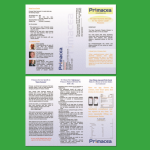 Flyer Design by Louie Fuentes | Manobo Graphic Design Services for this project | Design: #10683611