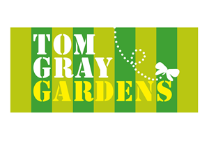 Logo Design by am design