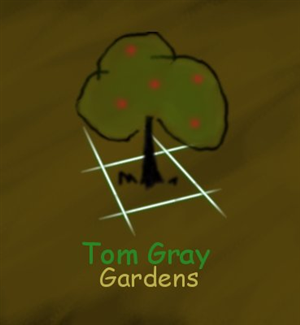 Logo Design by fantasy