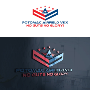 Logo Design by Nedjap for potomac aviation | Design: #10726160