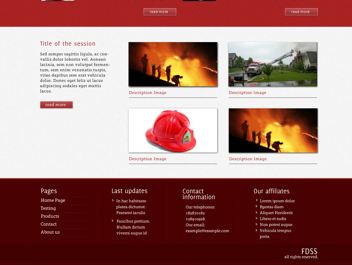 Web Design by designer for Fire Defence Systems  Services Pty Ltd | Design #467526