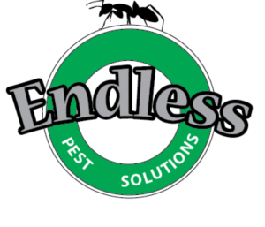 Logo Design by usman_172
