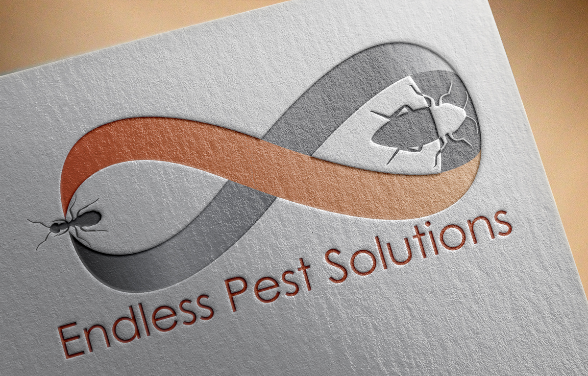 Logo Design by Sonani for this project | Design #10652510
