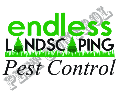 Logo Design by MOIZ UR REHMAN SHAIKH for this project | Design #10652023