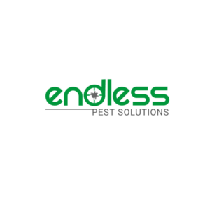 Logo Design by Infoway