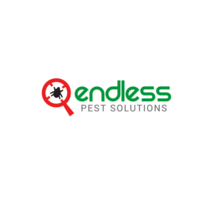 Logo Design by Infoway for this project | Design #10671264