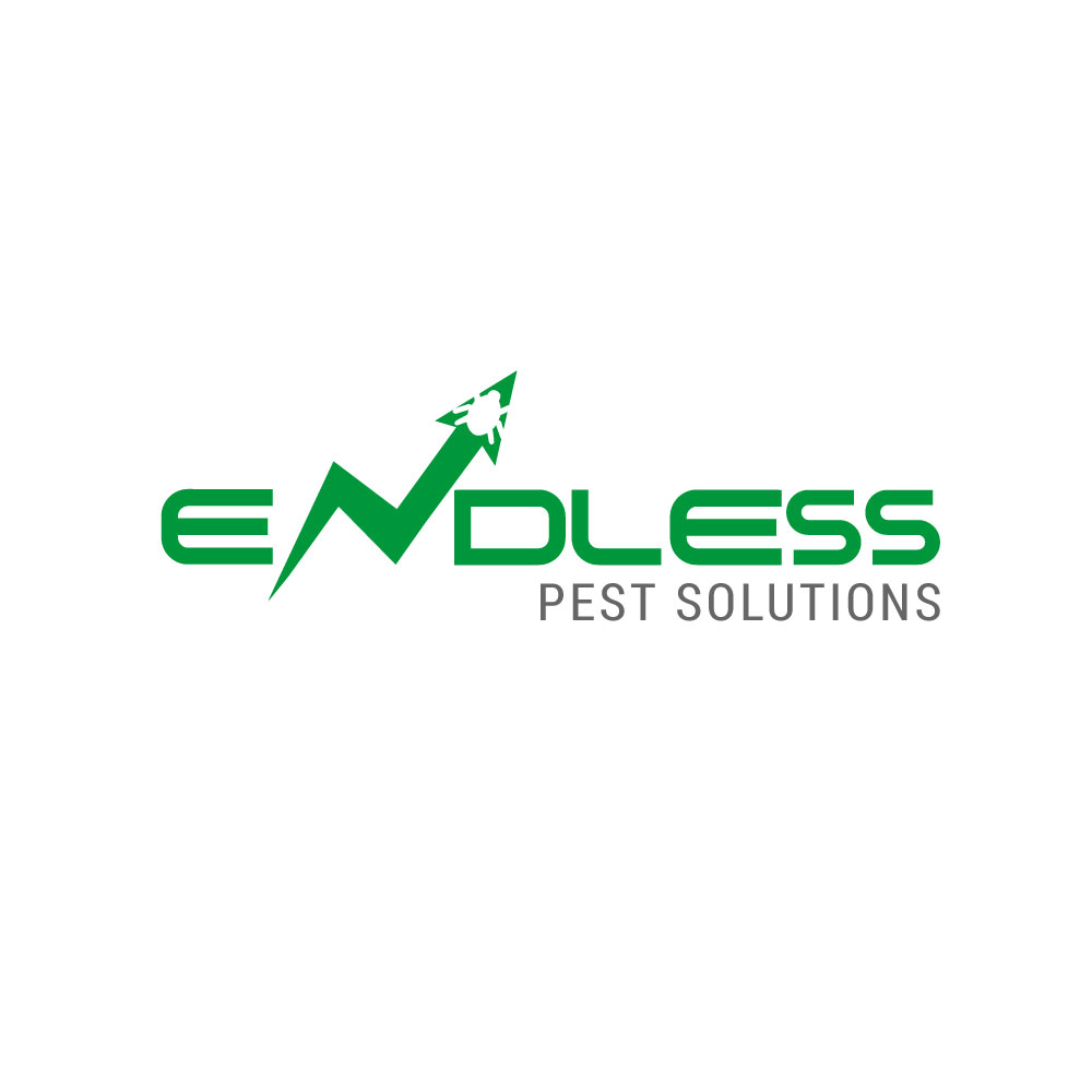 Diseño de Logo por Infoway para este proyecto | Diseño #10671270