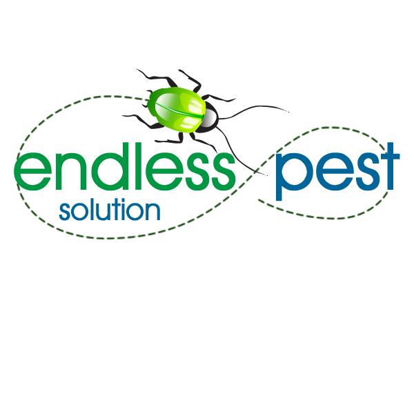 Logo Design by Infoway for this project | Design #10673110