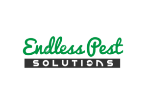 Logo Design by AMBOGEStudios for this project | Design #10648863