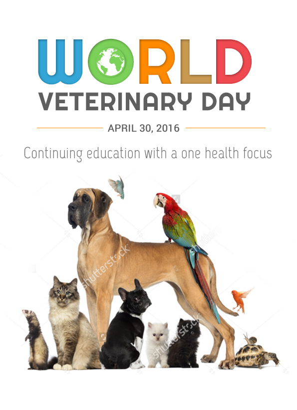 Poster Design by ColorDrops for DesignCrowd LLC | Design #10739260