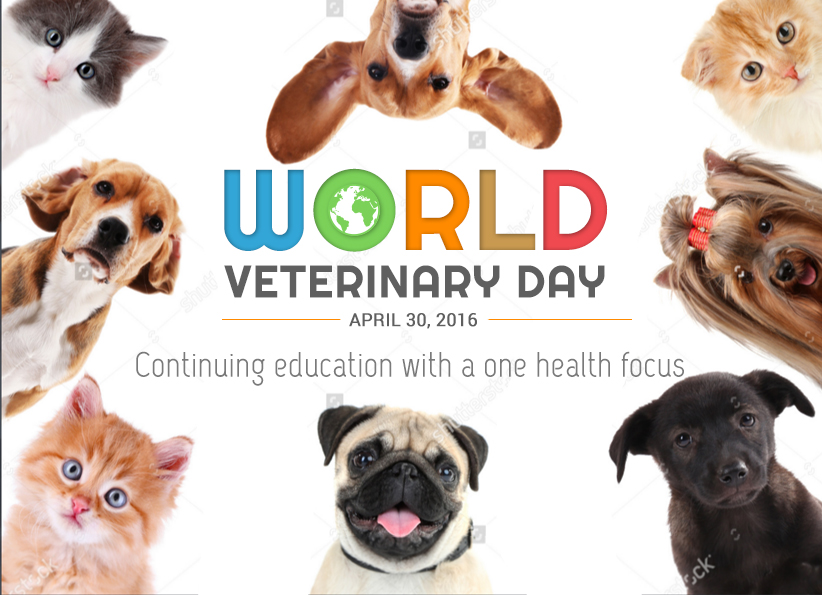 Poster Design by ColorDrops for DesignCrowd LLC | Design #10739261