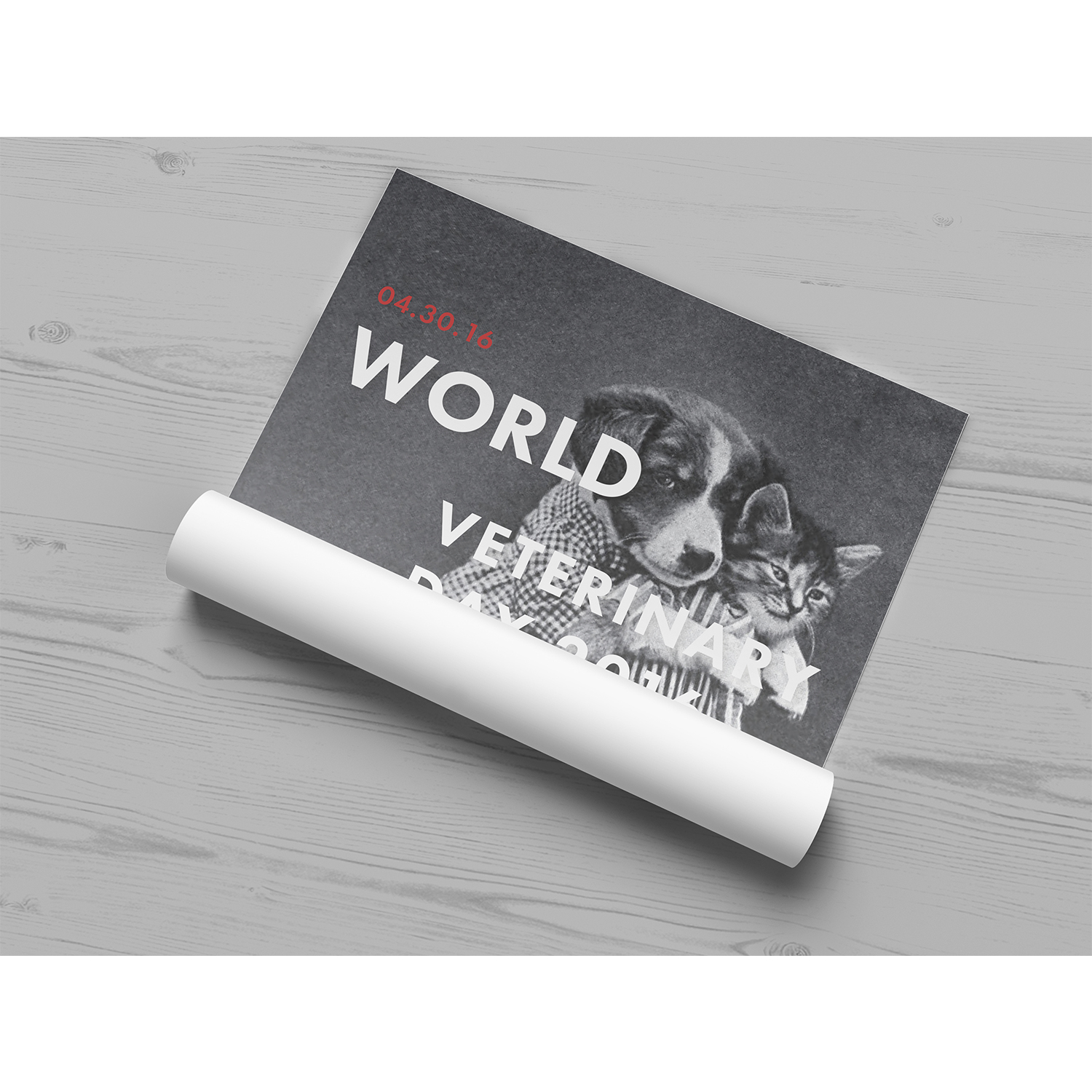 Poster Design by Siltan for DesignCrowd LLC | Design #10657336