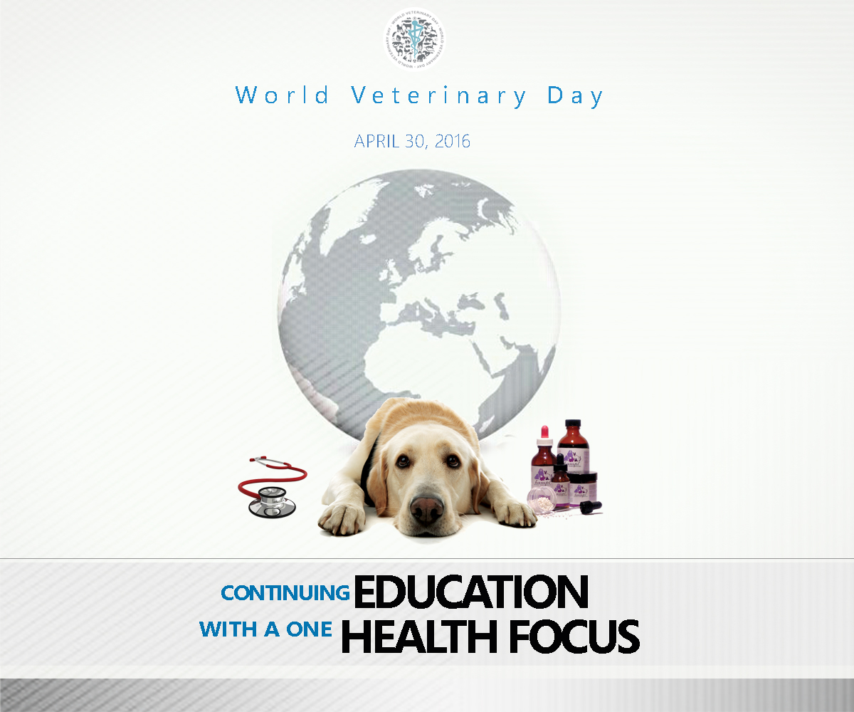 Poster Design by dkachi4 for DesignCrowd LLC | Design #10652701