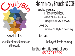 Business Card Design by d_art_studio for ChillyBin Web Design & Consultancy | Design: #2228594