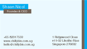 Business Card Design by Debora Sanches Aroca for ChillyBin Web Design & Consultancy | Design: #2257983