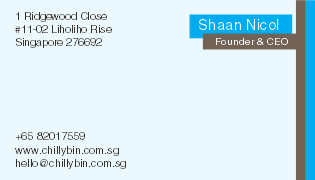 Business Card Design by Debora Sanches Aroca for ChillyBin Web Design & Consultancy | Design #2257984