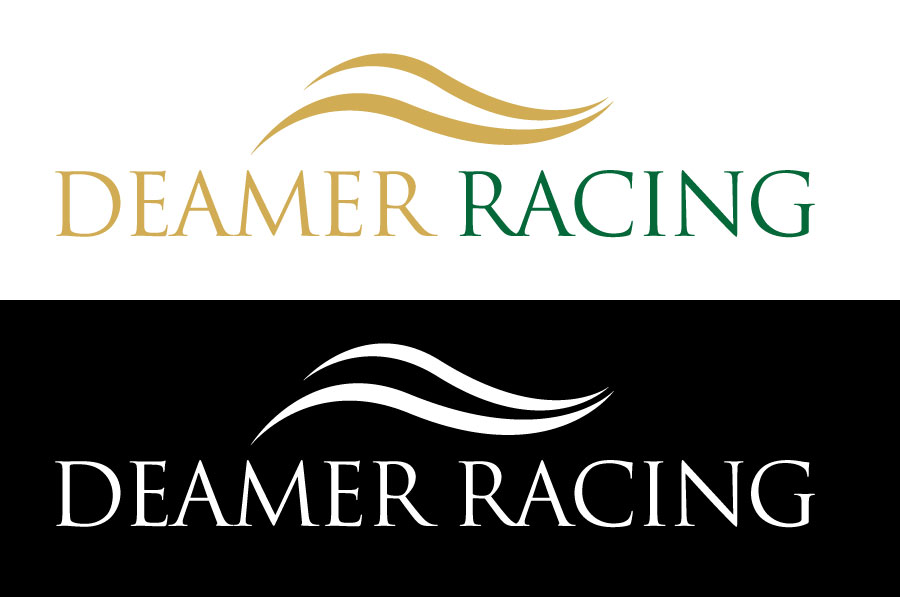 Design de Logo par Neoguy pour Deamer Racing | Design #2229859