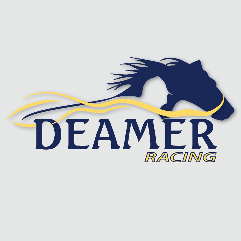 Design de Logo par LDP30 pour Deamer Racing | Design #2227483