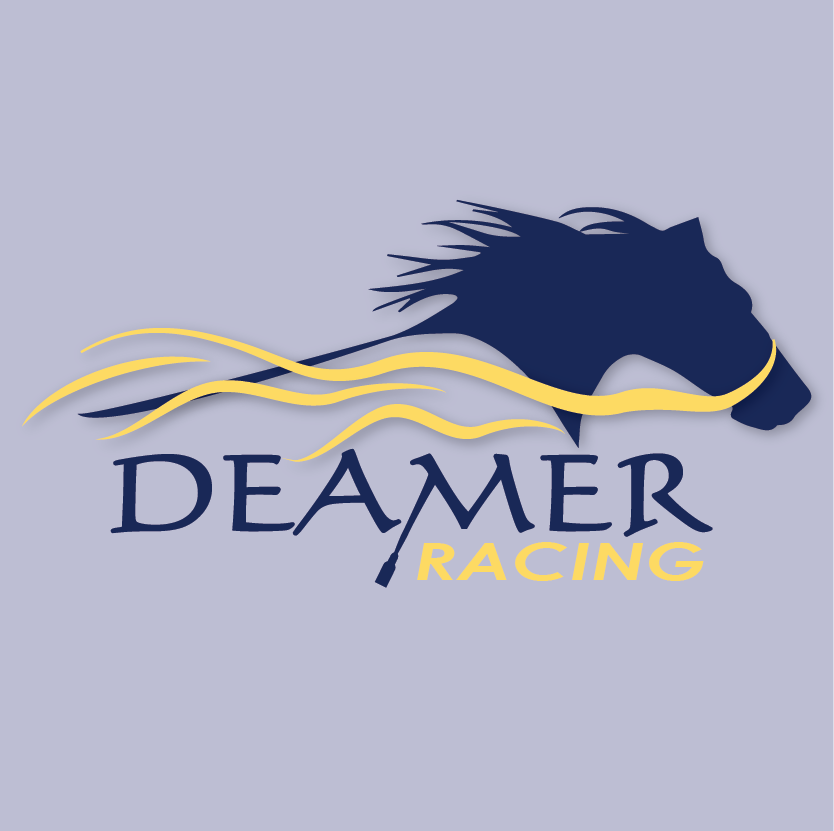 Logo Design by LDP30 for Deamer Racing | Design #2253773