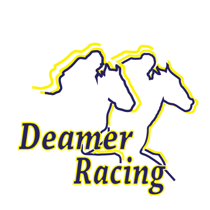 Design de Logo par ktgrandy pour Deamer Racing | Design #2257753