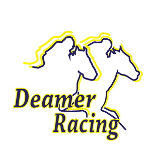 Design de Logo par ktgrandy pour Deamer Racing | Design #2257753