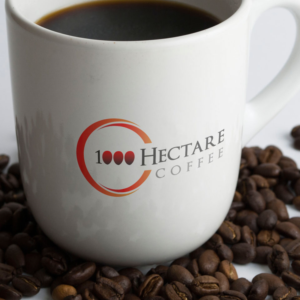 Logo Design by ubaid2792